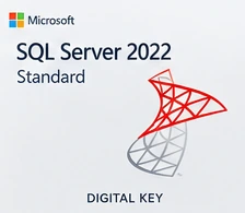 SQL Server 2022 Standard box