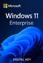 Windows 11 Enterprise box