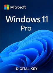 Windows 11 Pro box